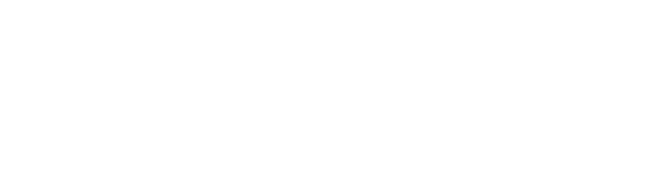 ION Network