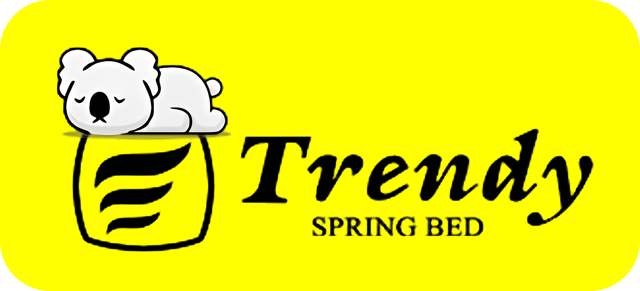 Trendy Spring Bed
